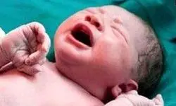 زنده شدن جنین فریز شده پس از 12 سال در اصفهان