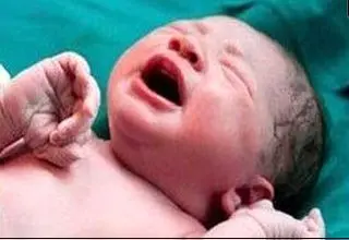 زنده شدن جنین فریز شده پس از 12 سال در اصفهان