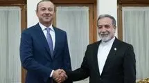 دیدار عراقچی با آرمن گریگوریان