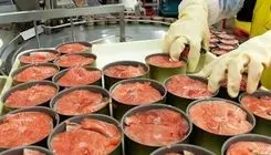 اعلام زمان ثبت سفارش واردات ماهی تون برای فصل بهار ۱۴۰۵ 