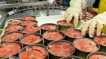اعلام زمان ثبت سفارش واردات ماهی تون برای فصل بهار ۱۴۰۵ 