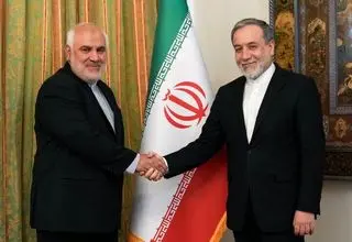 دیدار عراقچی با سفیر جدید ایران در هند 