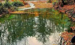 «چشمه لال» پناهگاهی ساکت در قلب طبیعت بکر گلستان