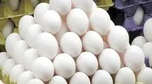 قیمت تمام‌شده هر شانه تخم‌مرغ چقدر است؟