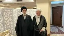 هادی خامنه ای با سیدمهدی کروبی دیدار کرد 