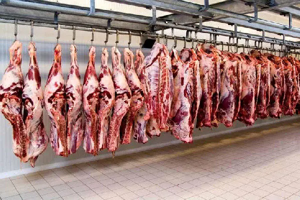 سرنوشت محموله‌ گوشت‌های آلوده مغولستان به زودی تعیین تکلیف می‌شود