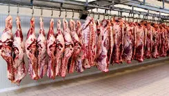 سرنوشت محموله‌ گوشت‌های آلوده مغولستان به زودی تعیین تکلیف می‌شود