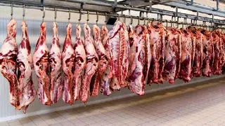 سرنوشت محموله‌ گوشت‌های آلوده مغولستان به زودی تعیین تکلیف می‌شود