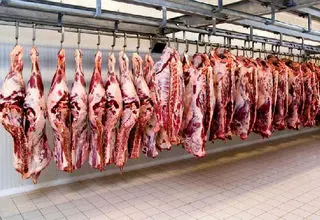 سرنوشت محموله‌ گوشت‌های آلوده مغولستان به زودی تعیین تکلیف می‌شود