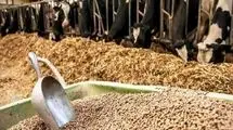 عرضه روزانه نهاده‌ها تنها نیمی از نیاز واحدهای دام و طیور را برطرف می کند