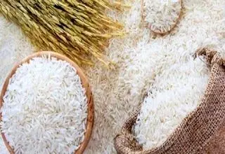 واردات و توزیع قطره چکانی برنج تاثیری در قیمت برنج ندارد!
