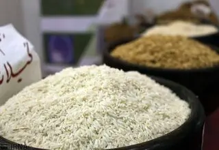ریختن برنج در دریا کذب است؛ وجود ۱۰۰ هزار تن برنج در بنادر