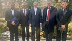 مقام امنیتی هند با لاریجانی دیدار کرد