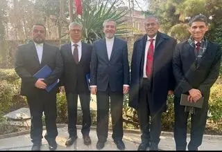 مقام امنیتی هند با لاریجانی دیدار کرد