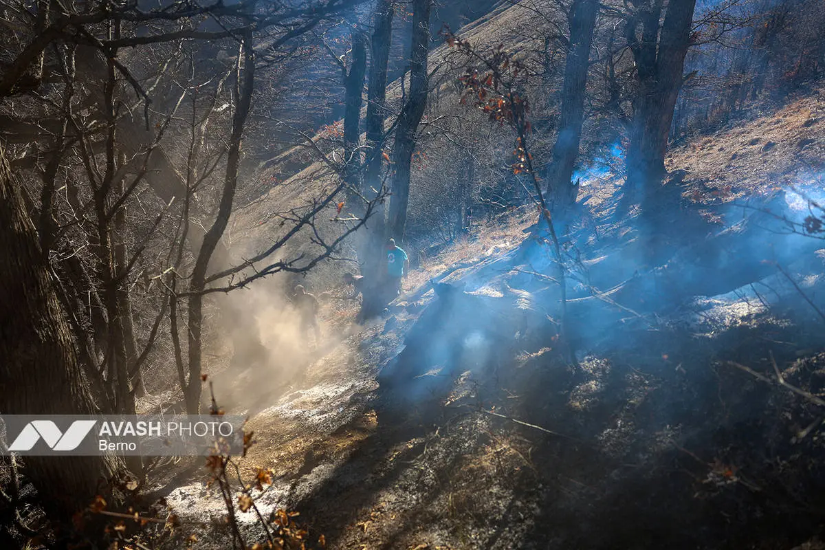 دستور رئیس سازمان بازرسی به بازرس کل استان مازندران در پی وقوع آتش‌سوزی در بخش‌هایی از جنگل‌های هیرکانی