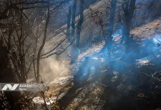 دستور رئیس سازمان بازرسی به بازرس کل استان مازندران در پی وقوع آتش‌سوزی در بخش‌هایی از جنگل‌های هیرکانی