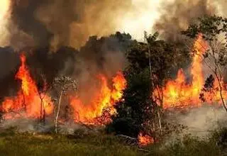 آنچه می‌سوزد میراث جهانی هیرکانی است