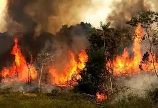 آنچه می‌سوزد میراث جهانی هیرکانی است