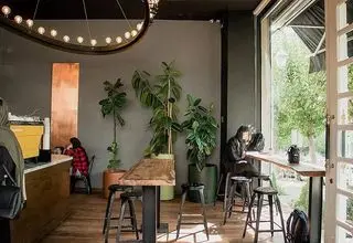 «ادا» ما را کشت!