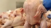 آغاز واردات مرغ از اتحادیه اوراسیا
