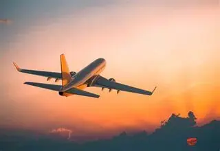 وحشی بازی مسافر یک هواپیما را زمین گیر کرد!