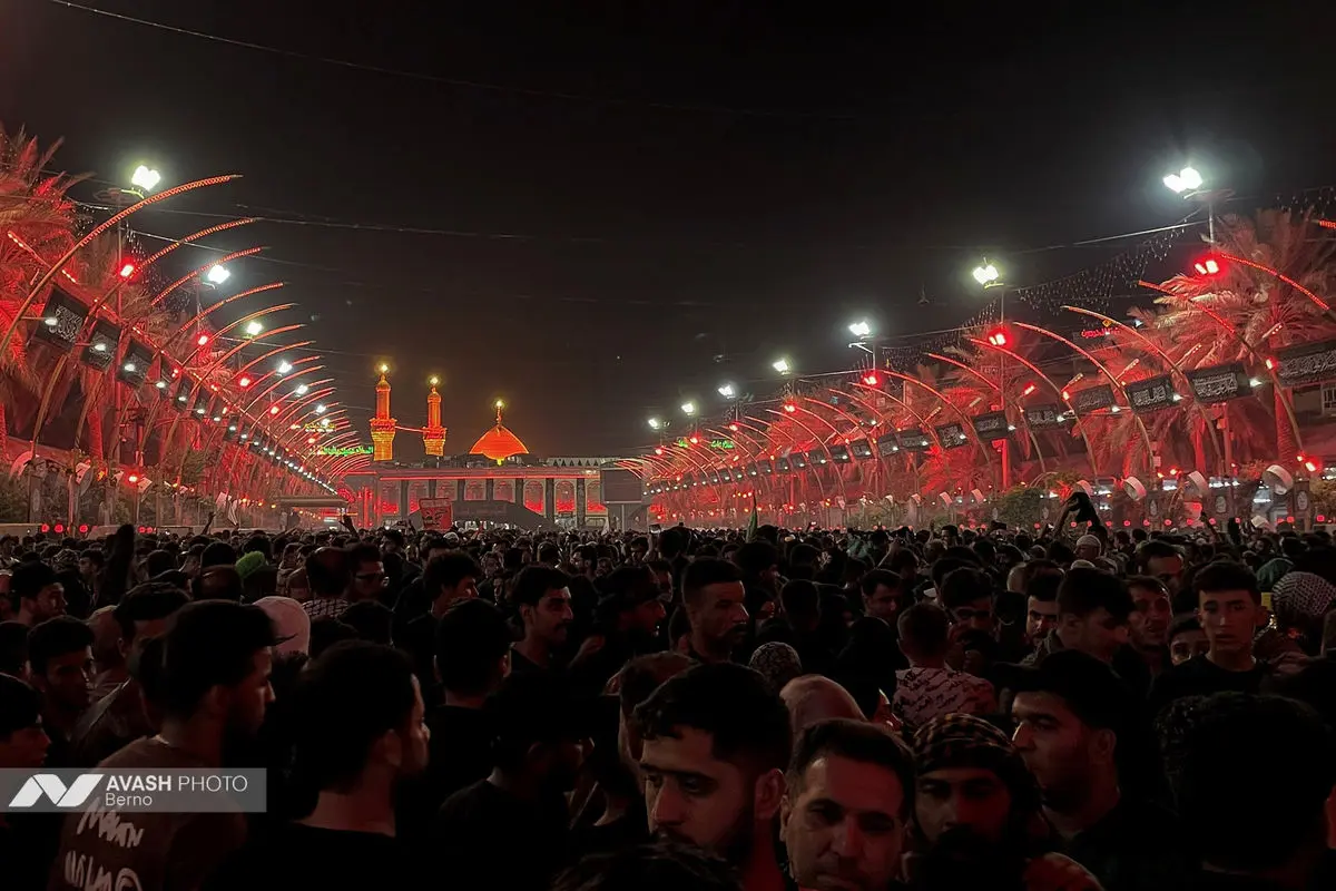 زائران اربعین در مسیر نجف به کربلا