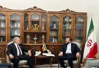 دیدار غریب‌آبادی با کارشناس سازمان ملل 