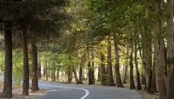 تکذیب آبیاری بوستان چیتگر با فاضلاب دریاچه خلیج‌فارس +فیلم