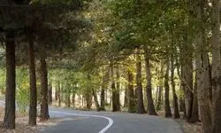 تکذیب آبیاری بوستان چیتگر با فاضلاب دریاچه خلیج‌فارس +فیلم
