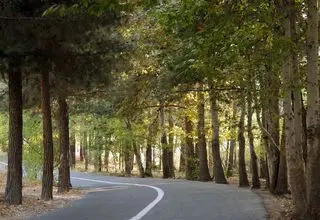 تکذیب آبیاری بوستان چیتگر با فاضلاب دریاچه خلیج‌فارس +فیلم