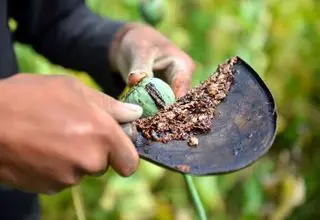 چه کسانی یارانه تریاک می‌گیرند؟