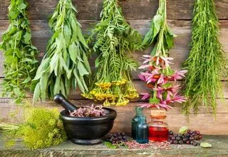 خطر مسمومیت را در این فصل جدی بگیرید!