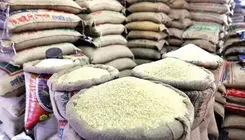 آغاز دومین ثبت سفارش برنج در سال جاری