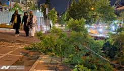 طوفان تهران 2 کشته و 41 مصدوم برجای گذاشت
