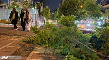 احتمال وقوع طوفان گرد و خاک در تهران