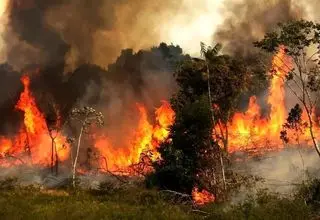 تصاویری هولناک و غمبار از وسعت آتش در جنگل‌ الیت چالوس/ ببینید