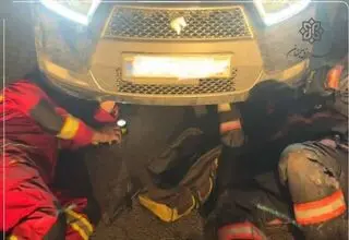 نجات گربه بازیگوش توسط آتش‌نشانان