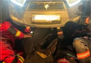 نجات گربه بازیگوش توسط آتش‌نشانان