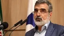 کمالوندی: این مضحک است که ایران به خاطر تخلف دیگری، تنبیه شود