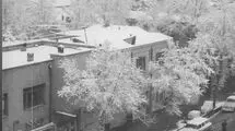 عکس/ نمایی تماشایی از زمستان ۶۵ سال پیش خیابان نادری تهران