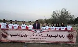 رییس انجمن هنرهای رزمی سواره: ملی‌پوشان کمان‌گیری روی اسب سفیران هویت ایرانی هستند