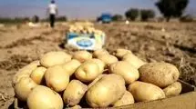 سفره مردم، حبوبات و سیب زمینی را هم از دست داد