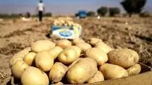 سفره مردم، حبوبات و سیب زمینی را هم از دست داد