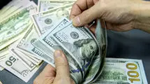 ابلاغ دستورالعمل اجرایی تعیین میزان ارز قابل حمل، نگهداری و مبادله در داخل کشور