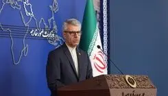 بقائی: بی‌تفاوتی کنگره آمریکا در برابر جنایت‌های جنگی کاخ سفید، شرم‌آور است