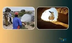 نمایش «شیدور» و «آدریانا مسافری از ایتالیا» در جشنواره «باران»