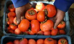 این میوه پاییزی خوش رنگ را هر روز بخورید