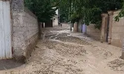 خسارت سیل و طوفان به ۷۷۲ واحد مسکونی در مازندران
