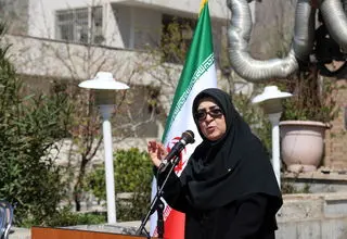 واکنش سخنگوی دولت به اقدام جالب «علی قمصری»/ جزییات بسته حمایتی دولت از کسب و کارهای اینترنتی