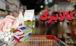 آغاز برداشت کالابرگ یک میلیونی از فردا